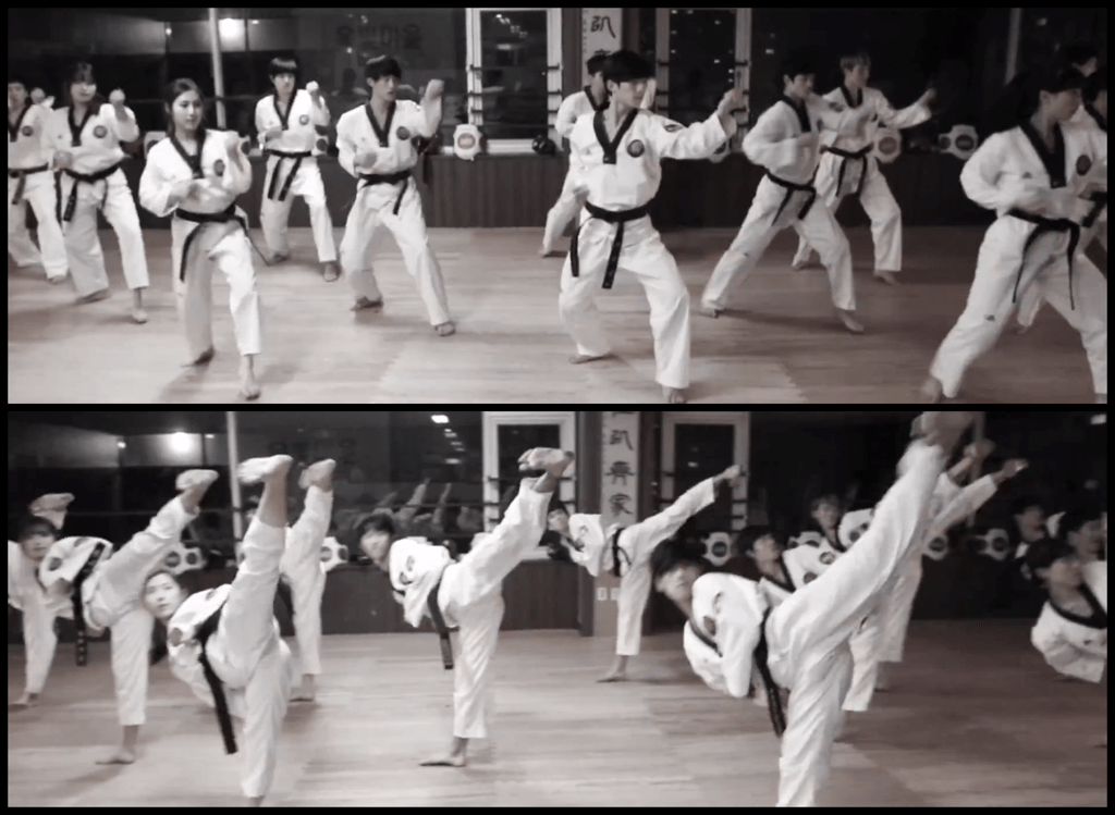 Ringa Linga- Taekwando Kick