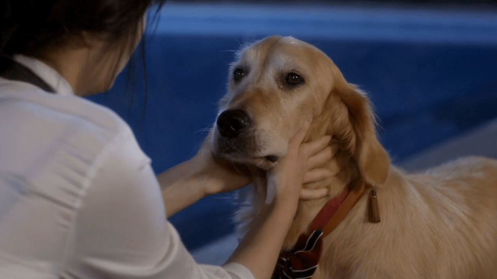 Screen Shot 2014-09-17 at 8.23.54 PM